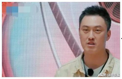 吃瓜娱乐圈最新,揭秘明星幕后恩怨情仇